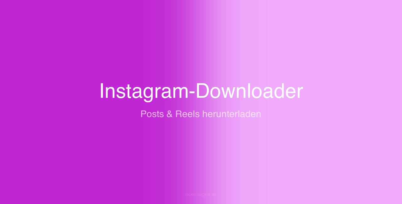 Instagram-Downloader – Screenshot
